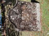 image of grave number 814706